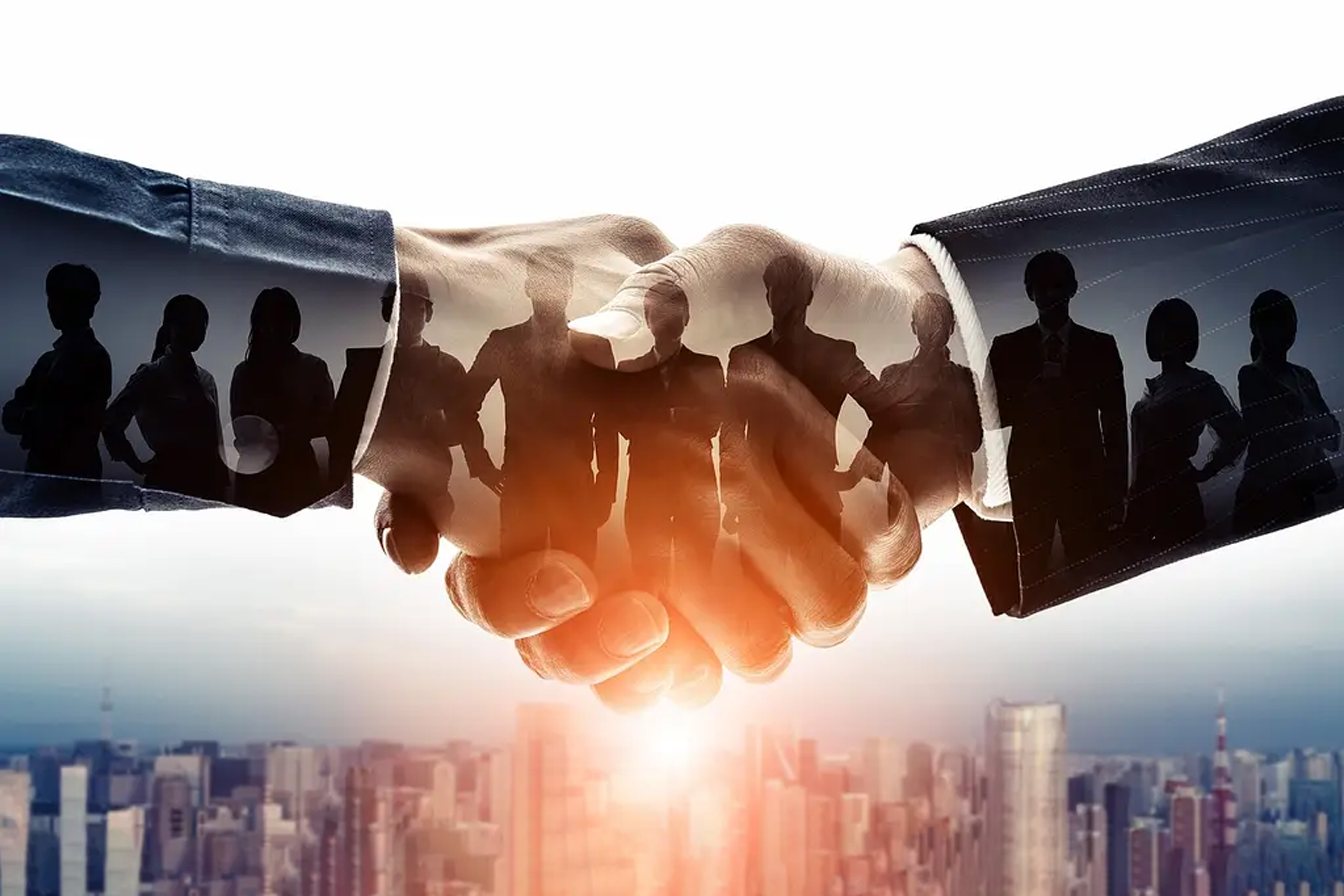 SEO Website Development Team